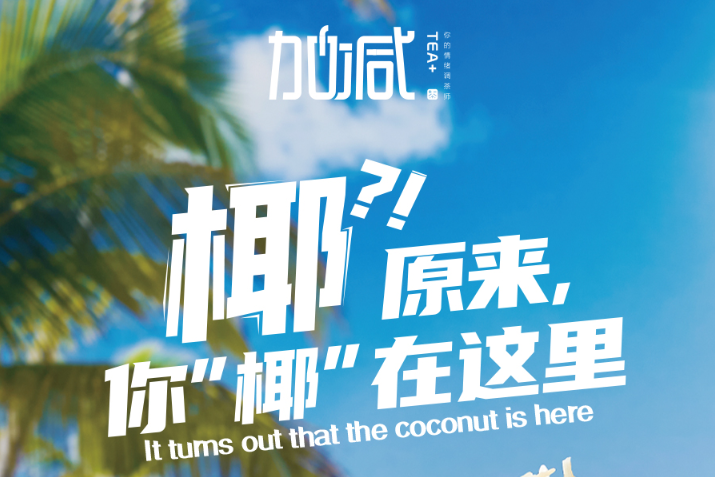 BG真人椰子系列新品火爆上市